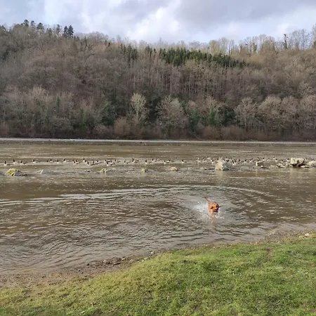 Maison Meuse * Waulsort